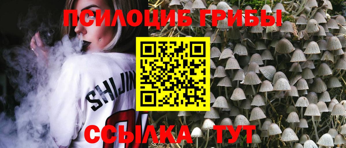 Псилоцибиновые грибы Magic Shrooms Корсаков