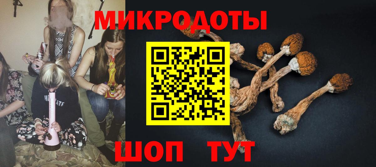 Корсаков  Псилоцибиновые грибы MAGIC MUSHROOMS  Вход с VPN 